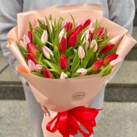 51 красный и розовый тюльпан Эмеральд Хиллс