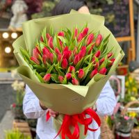 51 red tulips Karski-nuia