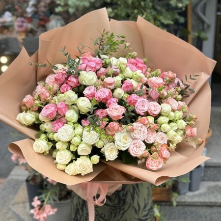 51 кустова троянда Буасси-Сент-Георг