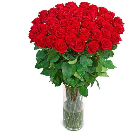 Букет «Роскошный» (51 роза, 1 метр) Букет «Роскошный» (51 роза, 1 метр)