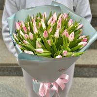 51 pink tulips Chetrosu