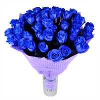 51 блакитна троянда Бухарест