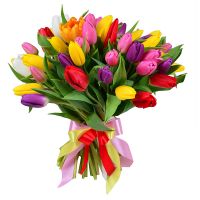 Bouquet 51 tulip Molodezhnoye
                            