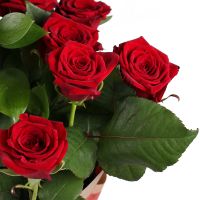 11 red roses Pechanivka