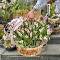 101 tulips in a basket Le Chesnay