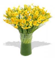  Bouquet 49 daffodils Tbilisi
														