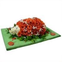 Букет квітів Їжачок Миколаїв