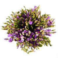 Bouquet of flowers Purple Crimea
                            