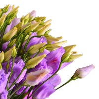 Букет квітів Пурпурний Нью-Йорк