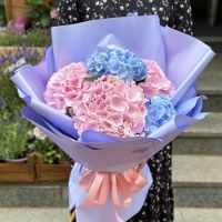  Bouquet 5 hydrangeas Annisse Nord
														