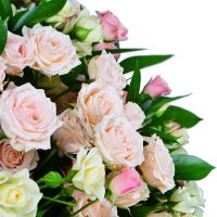 Бело-розовый (из кустовой розы) Маркулешты