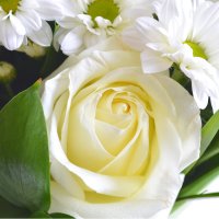  Bouquet White waltz Kremenchug
                            