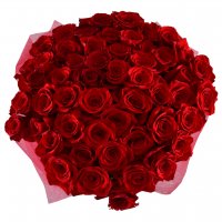 DESIRE FLAME 51 roses+ Asti Martini Golaya_pristan