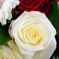  Bouquet Charming romance Grodno
                            