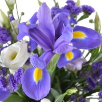  Bouquet Lavender fields Albi
														