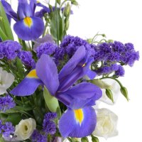 Bouquet Lavender fields Albi
														