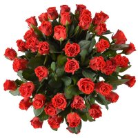 45 red roses Eylat