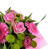 Pink roses and gerberas Novie Petrovtsi
