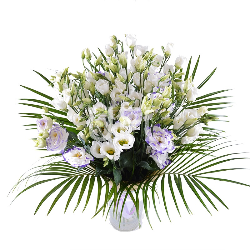 Bouquet of flowers Malvina
                            