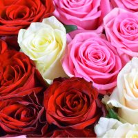  Bouquet Rose heart Novoukrainka
														