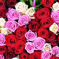  Bouquet Rose heart Ammern
														