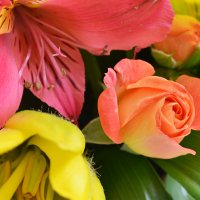  Bouquet Colorful fantasy Vieques
                            