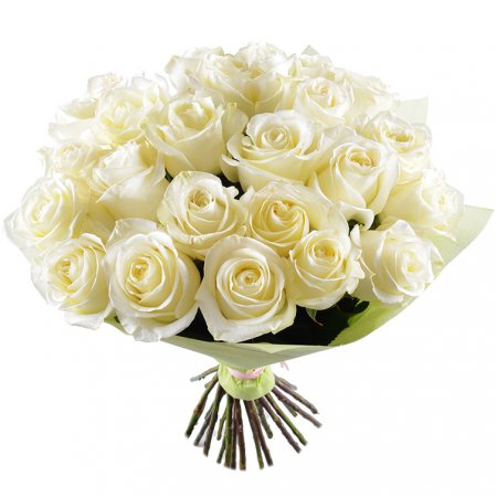 Білий шовк 25 троянд 70 см Гардена