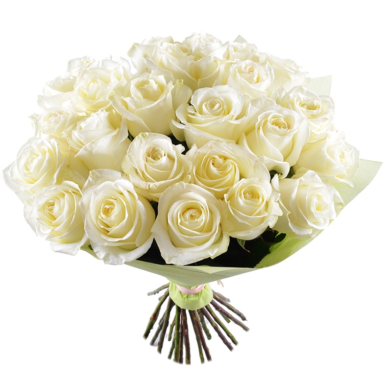 Білий шовк 25 троянд 70 см Білий шовк 25 троянд 70 см