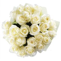 Білий шовк 25 троянд 70 см Хеннеф