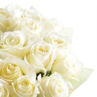 Білий шовк 25 троянд 70 см Нір-галім