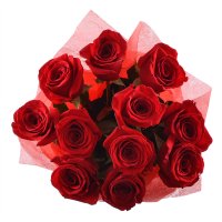 11 premium roses Pierrefonds