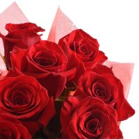 11 premium roses Pologi
