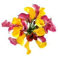 Букет квітів Маракуйя Тбілісі