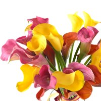 Букет квітів Маракуйя Тбілісі