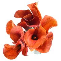 Букет квітів Анхель Белу-Орізонті