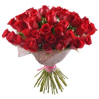 51 premium roses Roztoky