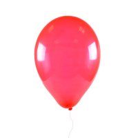 Букет Воздушный шарик Кендзежин-Козле
                            