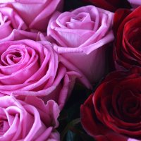 Великий букет троянд Ліпомо-Комо