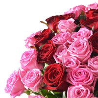 Большой букет роз Киато