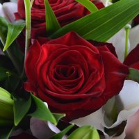 Bouquet of flowers Congratulate Grodno
														