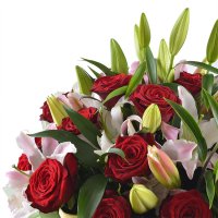Bouquet of flowers Congratulate Grodno
														