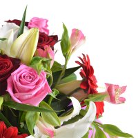  Bouquet Congratulate you Shymkent
                            