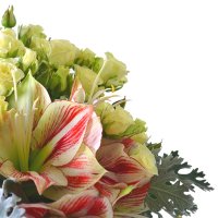 Букет квітів Незвичайний Фаджето-Ларіо