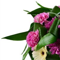 Букет цветов Милан Ивано-Франковск
                            