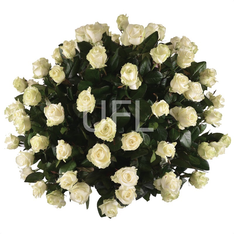 Funeral basket of roses