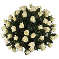 Траурна корзина з білих троянд Антоніни