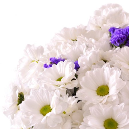 Bouquet of flowers Сhamomilel
                            