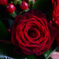 Букет цветов Мужской Абердин (Великобритания)
                            