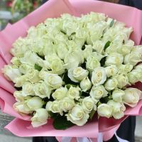 101 white roses Lebedin