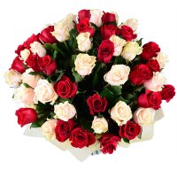 51 red and creamy roses Alma-Ata